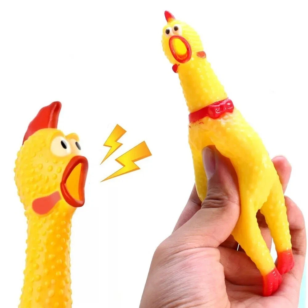 Dimensions du poulet